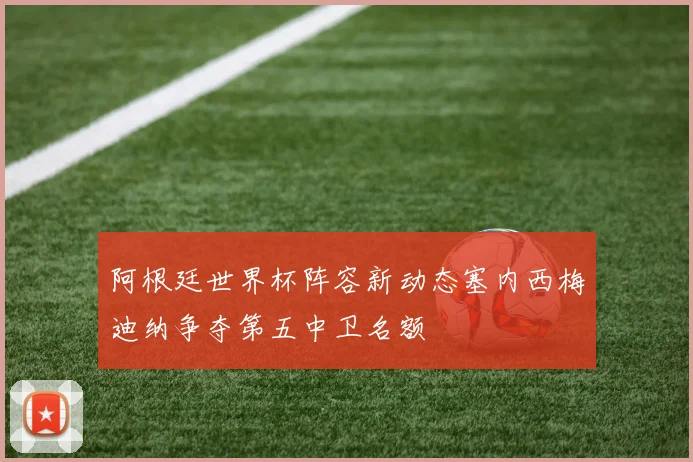 阿根廷世界杯阵容新动态塞内西梅迪纳争夺第五中卫名额